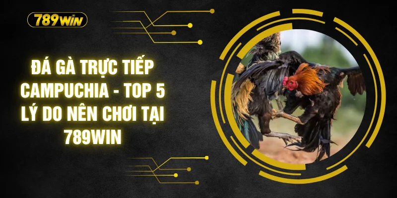 Đá Gà Trực Tiếp Campuchia - Top 5 Lý Do Nên Chơi Tại 789WIN 1 Đá Gà Trực Tiếp Campuchia - Top 5 Lý Do Nên Chơi Tại 789WIN
